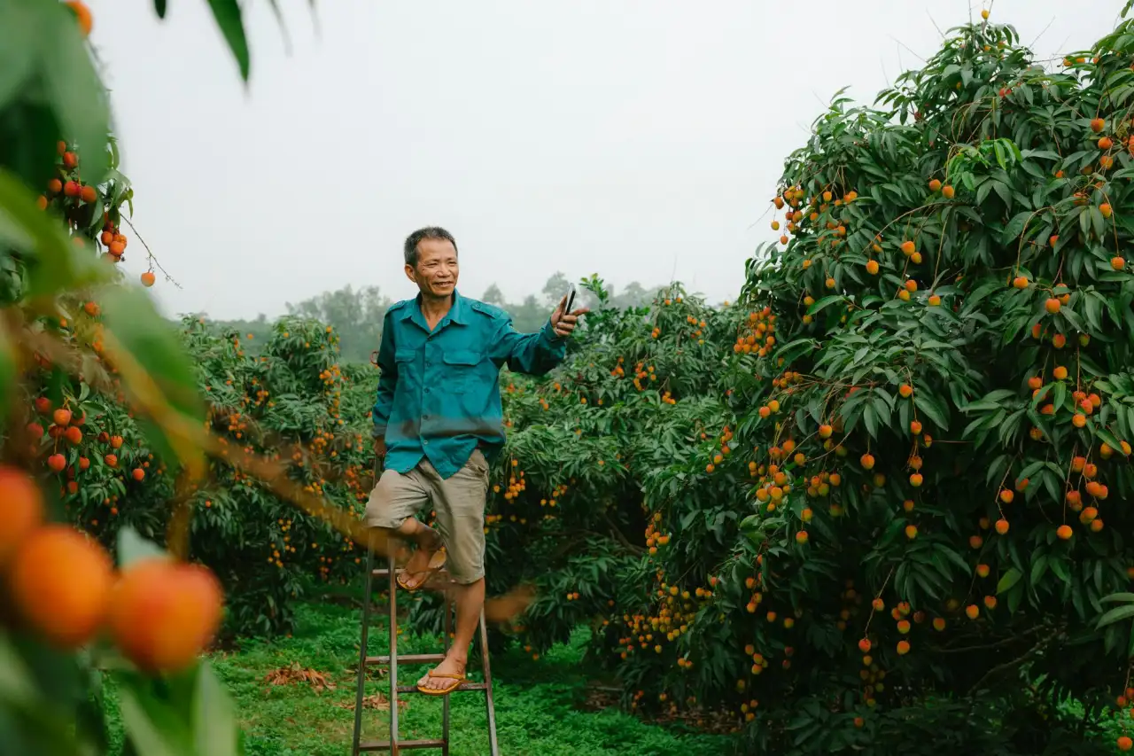 化妆品GMP车间质量管理体系关键控制点与常见问题